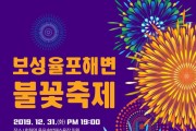 1. 보성군, 오는 31일 한화와 손잡고 새해맞이 대규모 불꽃축제 -포스터.jpg