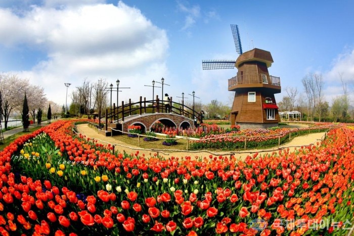 1. 네덜란드 정원(튤립2).jpg