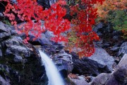 1.광양시, 가을 물든 백운산 꼭 가야 할 5가지 이유-관광과 1.jpg