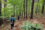 (사진 1) 경기 양평의 국립산음자연휴양림에서 산림치유프로그램을 체험하고 있는 모습입니다..jpg