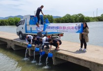 보성군, 지속가능한 어업 위해 은어 치어 6만 5천 마리 방류