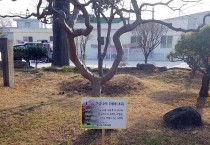 장흥군 대덕읍, 청렴나무·청념갤러리 ‘눈길’