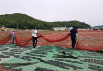 장흥군 공무원, ‘바다로 들판으로’ 일손돕기 구슬땀