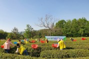 보성군 자원봉사단체 농촌일손돕기 구슬땀