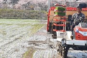 보성군, 율어면 첫 모내기 ‘맛있게 잘 자라다오!’