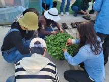 홍성군농업기술센터, '국화재배 분재교육' 배움의 열기로 '후끈'